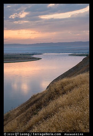 Grasses and Columbia River at sunset, Hanford Reach National Monument. Washington (color)