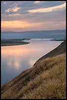 Grasses and Columbia River at sunset, Hanford Reach National Monument. Washington ( color)