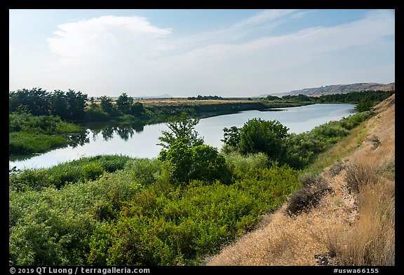 Banks of free-flowing section of Columbia River with verdant vegetation, Ringold Unit, Hanford Reach National Monument. Washington