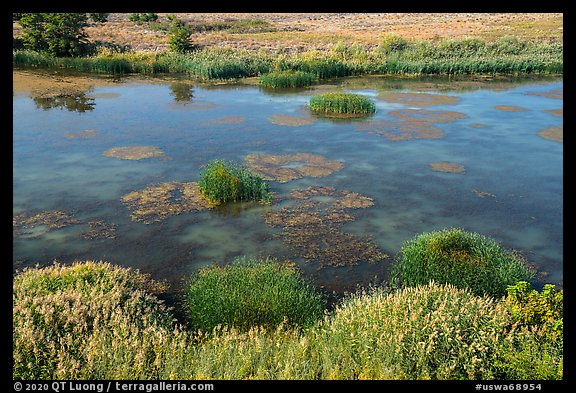 Wetlands on the shore of Savage Island, Hanford Reach National Monument. Washington