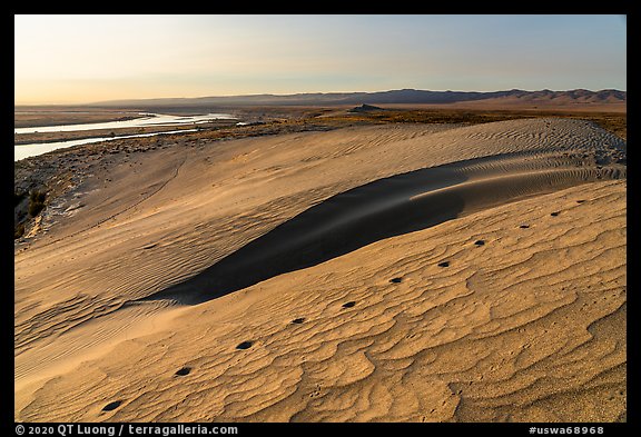 Animal tracks, sand dunes, and Locke Island, Hanford Reach National Monument. Washington
