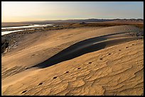 Animal tracks, sand dunes, and Locke Island, Hanford Reach National Monument. Washington ( color)