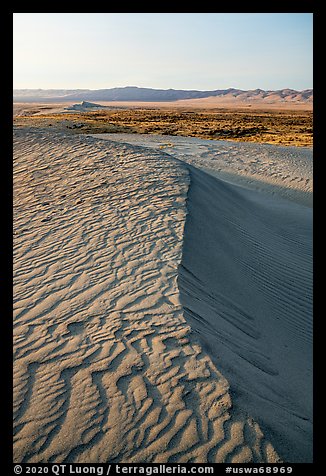 Crest of sand dunes, Hanford Reach National Monument. Washington