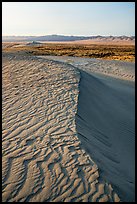 Crest of sand dunes, Hanford Reach National Monument. Washington ( color)