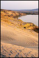 Sand dunes and white bluffs, Hanford Reach National Monument. Washington ( color)