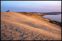 Sand ripples and Columbia River at sunset, Hanford Reach National Monument. Washington ( color)