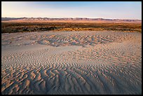 Sand ripples and Saddle Mountains at sunset, Hanford Reach National Monument. Washington ( color)