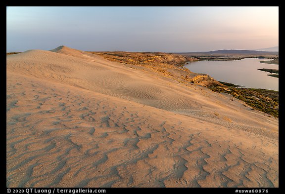 Sand dunes and Columbia River at sunset, Hanford Reach National Monument. Washington (color)