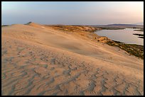 Sand dunes and Columbia River at sunset, Hanford Reach National Monument. Washington ( color)