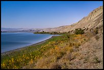 White Bluffs and Columbia River by moonlight, Hanford Reach National Monument. Washington ( color)