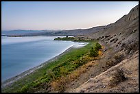 White Bluffs and Columbia River at dawn, Hanford Reach National Monument. Washington ( color)