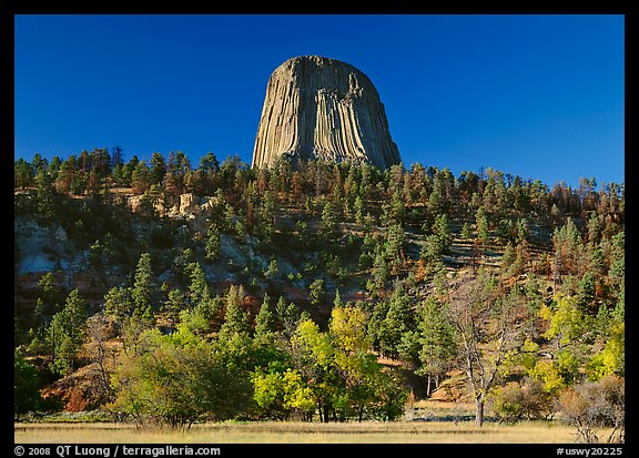 Devils Tower rising above forested slope. USA (color)