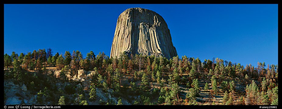 Devils Tower rising above forest. Wyoming, USA