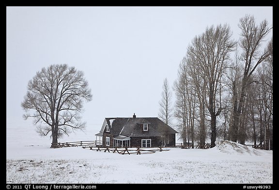 Miller House during snow storm, National Elk Refuge. Jackson, Wyoming, USA (color)