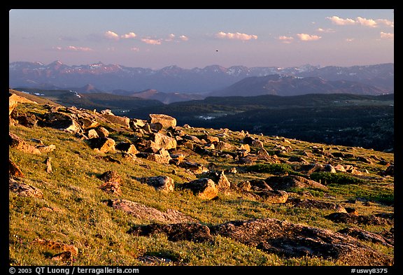 Alpine meadow and rocks, late afternoon, Beartooth Range, Shoshone National Forest. Wyoming, USA