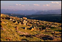 Alpine meadow and rocks, late afternoon, Beartooth Range, Shoshone National Forest. Wyoming, USA