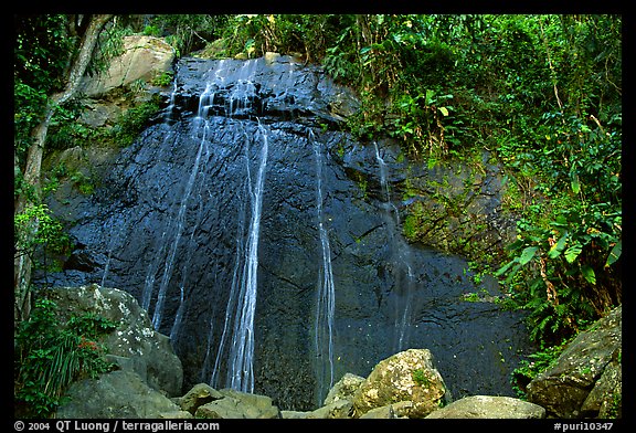 La Coca Falls, El Yunque, Carribean National Forest. Puerto Rico