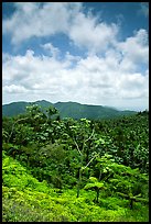 Hills covered with tropical forest. Puerto Rico ( color)
