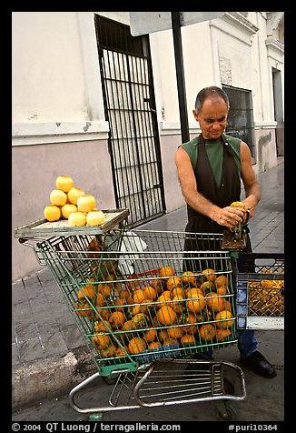 A man peels oranges to make an orange drink, which is drunk from the fruit itself, Ponce. Puerto Rico