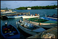 Small boats on a mangrove-covered cost, La Parguera. Puerto Rico (color)