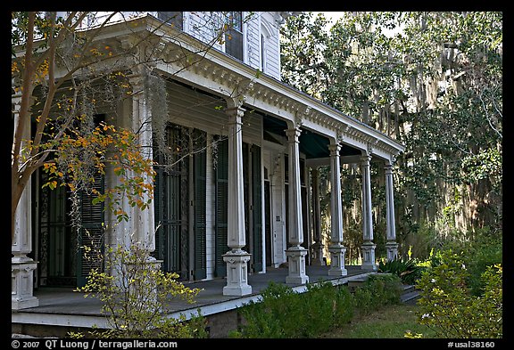 House and trees with Spanish moss in frontyard. Selma, Alabama, USA