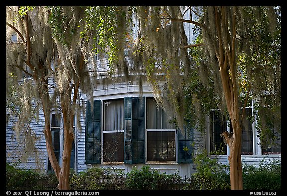 Spanish moss covered trees and windows. Selma, Alabama, USA
