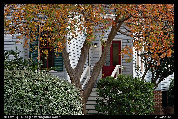 Tree in fall color and house. Montgomery, Alabama, USA