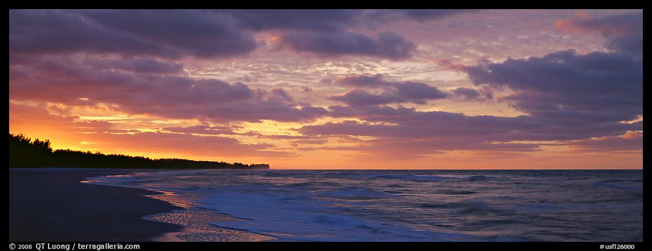 Seashore at sunrise, Sanibel Island. Florida, USA (color)