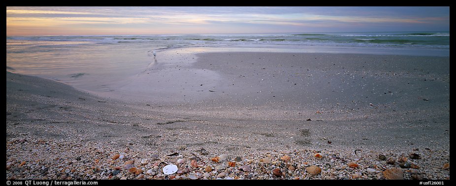 Beach seascape with seashells, dawn, Sanibel Island. Florida, USA
