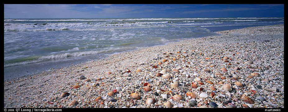 Shell-covered beach, Sanibel Island. Florida, USA