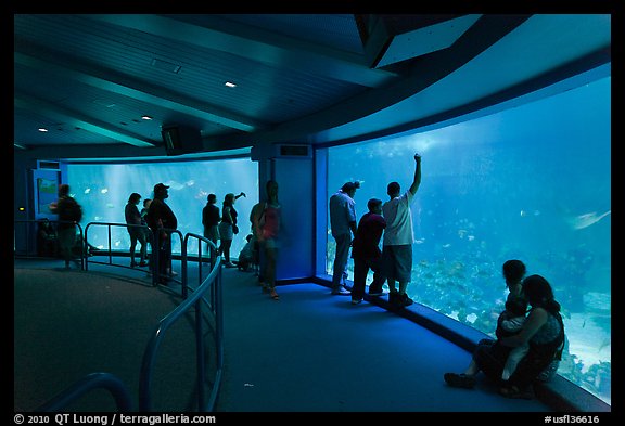 Aquarium, Walt Disney World. Orlando, Florida, USA