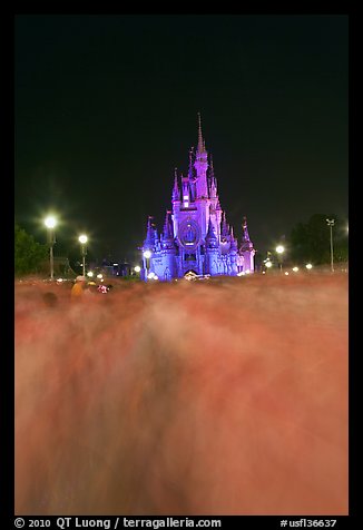 Blurred crowds and Cinderella Castle at night. Orlando, Florida, USA (color)