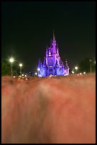 Blurred crowds and Cinderella Castle at night. Orlando, Florida, USA ( color)