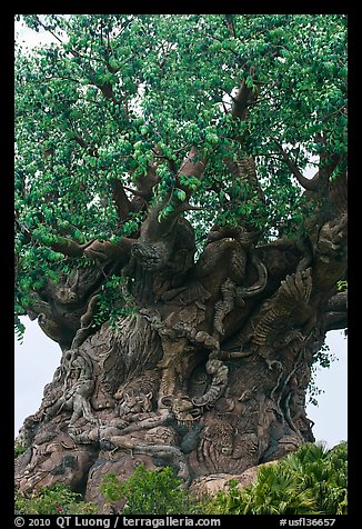 Sculpted tree of life, Animal Kingdom Theme Park, Walt Disney World. Orlando, Florida, USA
