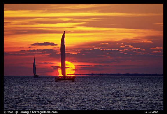 Sailboats viewed against sun disk at sunset. Key West, Florida, USA