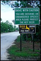Sign warning about the endangered Key deer, Big Pine Key. The Keys, Florida, USA