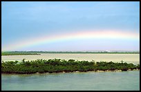 Rainbow above mangroves, Key West. The Keys, Florida, USA