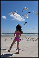 Girl playing with seabirds, Jetty Park beach. Cape Canaveral, Florida, USA ( color)