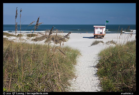 Path, dune grass, and lifeguard platform, Jetty Park. Cape Canaveral, Florida, USA (color)