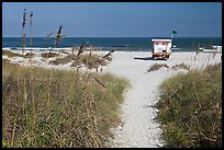 Path, dune grass, and lifeguard platform, Jetty Park. Cape Canaveral, Florida, USA (color)