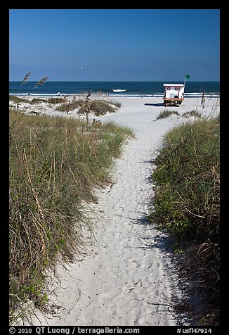Sandy path leading to beach, Jetty Park. Cape Canaveral, Florida, USA (color)