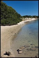 Beach on the Matanzas River, Fort Matanzas National Monument. St Augustine, Florida, USA ( color)