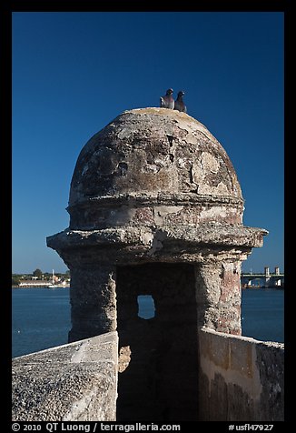 Fortified Turret, pigeons, and Matanzas Bay, Castillo de San Marcos National Monument. St Augustine, Florida, USA
