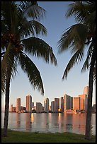Palm trees and Miami skyline at sunrise. Florida, USA (color)