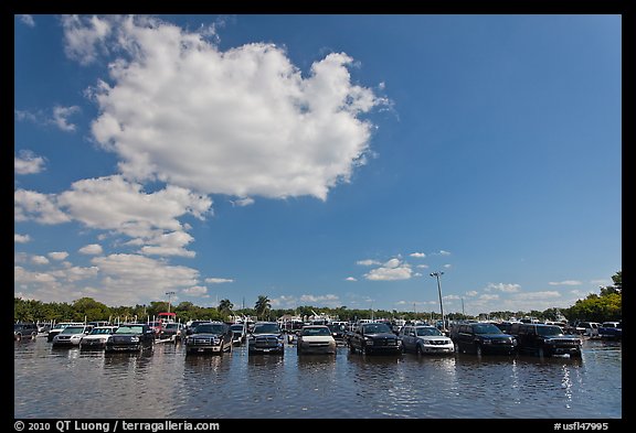 Flooded parking lot, Matheson Hammock Park. Coral Gables, Florida, USA