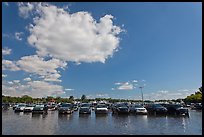 Flooded parking lot, Matheson Hammock Park. Coral Gables, Florida, USA ( color)