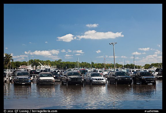 Cars in flooded lot, Matheson Hammock Park. Coral Gables, Florida, USA
