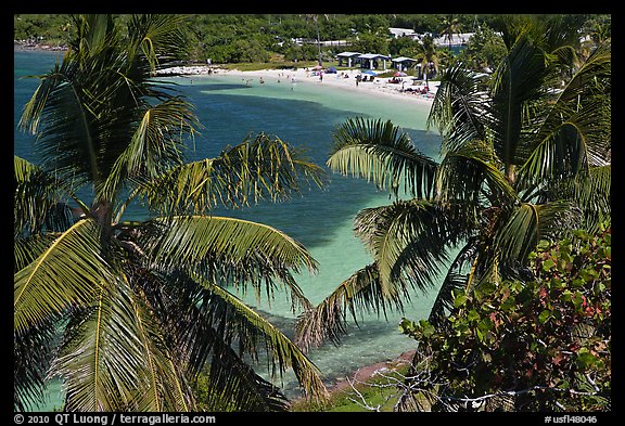 Beach seen from above through palm trees, Bahia Honda Key. The Keys, Florida, USA
