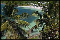 Beach seen from above through palm trees, Bahia Honda Key. The Keys, Florida, USA ( color)