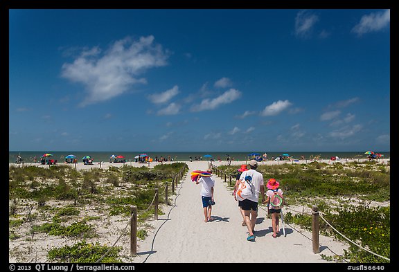 Family walking out to Bowman Beach, Sanibel Island. Florida, USA (color)